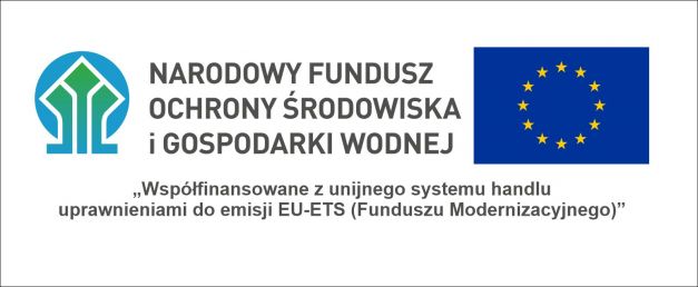 Budowa magazynu energii wraz z infrastrukturą towarzyszącą w miejscowości Radziechów